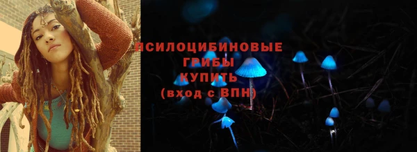 круглые Алексеевка