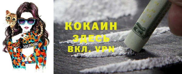 метадон Алексин
